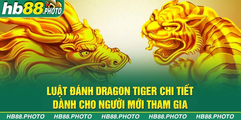 Luật đánh Dragon Tiger chi tiết dành cho người mới tham gia