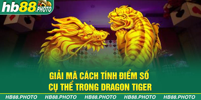 Giải mã cách tính điểm số cụ thể trong Dragon Tiger