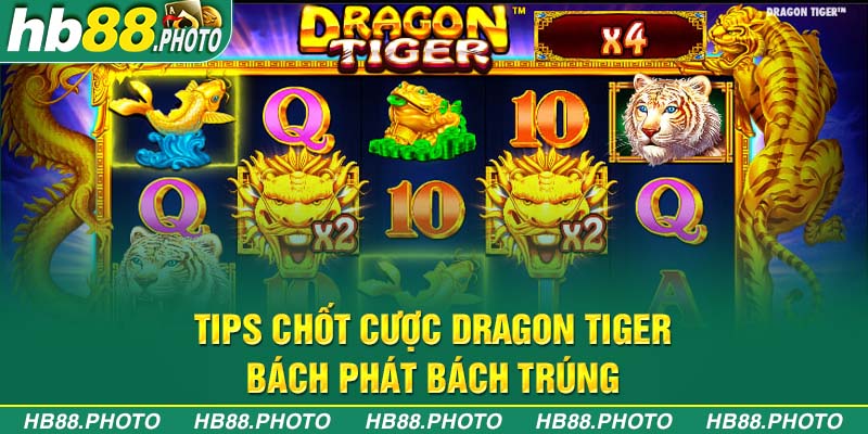 Tips chốt cược Dragon Tiger bách phát bách trúng