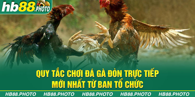 Quy tắc chơi đá gà đòn trực tiếp mới nhất từ ban tổ chức