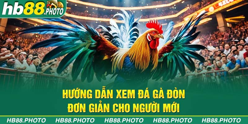 Hướng dẫn xem đá gà đòn đơn giản cho người mới